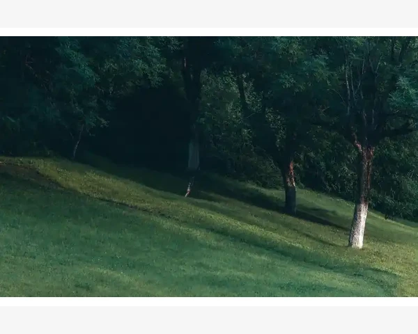 中医智慧：阳虚脾胃虚寒呕吐的调养之道